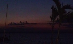 IMAG0173