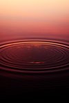 Finding Serenity
