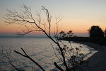 Sunset_branch_by_Aicosis[1]