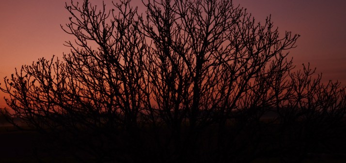 DSC_5733